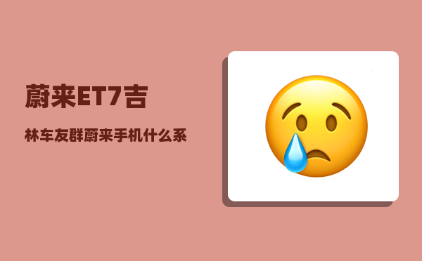 蔚来ET7吉林车友群_蔚来手机什么系统-图1