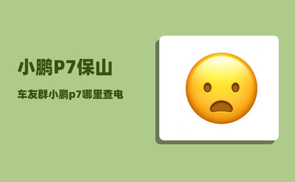 小鹏P7保山车友群_小鹏p7哪里查电池容量-图1