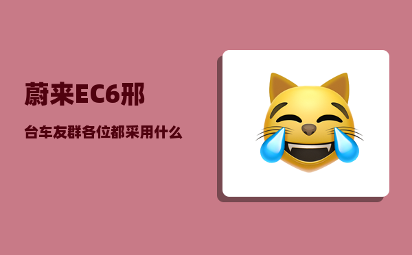 蔚来EC6邢台车友群_各位都采用什么方式节约用车成本-图1
