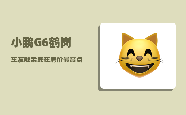 小鹏G6鹤岗车友群_亲戚在房价较高点的时候卖掉两套房-图1