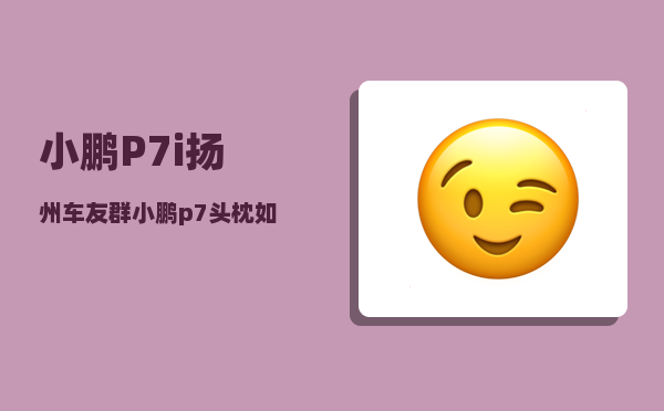小鹏P7i扬州车友群_小鹏p7头枕如何调节-图1