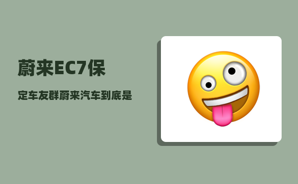 蔚来EC7保定车友群_蔚来汽车到底是一家什么样的公司-图1