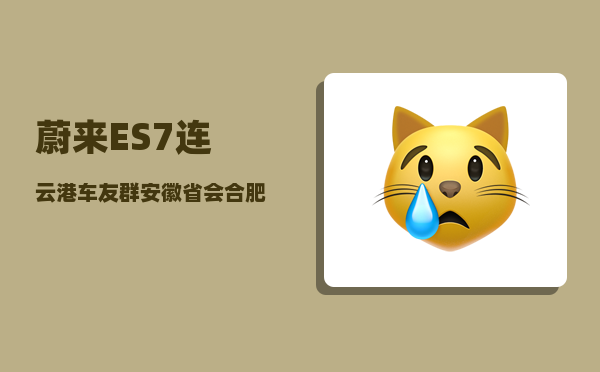 蔚来ES7连云港车友群_安徽省会合肥未来有可能成为一线城市吗-图1