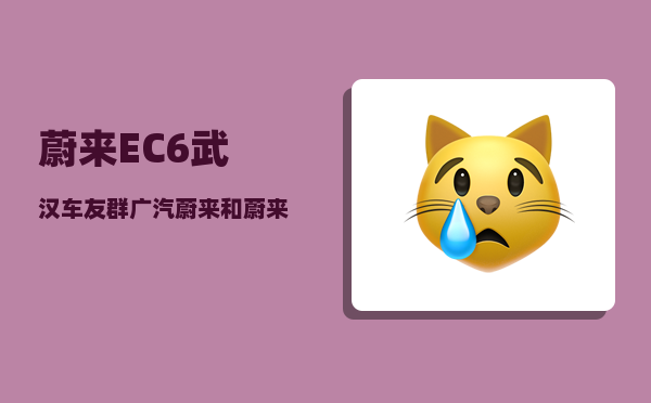 蔚来EC6武汉车友群_广汽蔚来和蔚来什么区别-图1