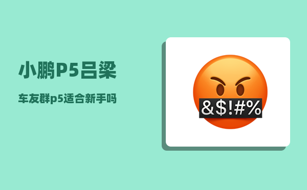 小鹏P5吕梁车友群_p5适合新手吗-图1