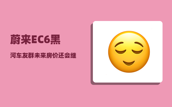 蔚来EC6黑河车友群_未来房价还会继续涨吗-图1