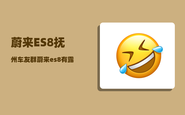 蔚来ES8抚州车友群_蔚来es8有露营模式吗-图1