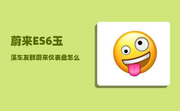 蔚来ES6玉溪车友群_蔚来仪表盘怎么调整-图1