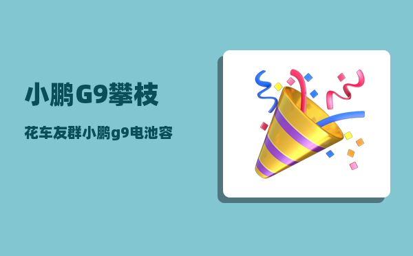 小鹏G9攀枝花车友群_小鹏g9电池容量多少度电-图1