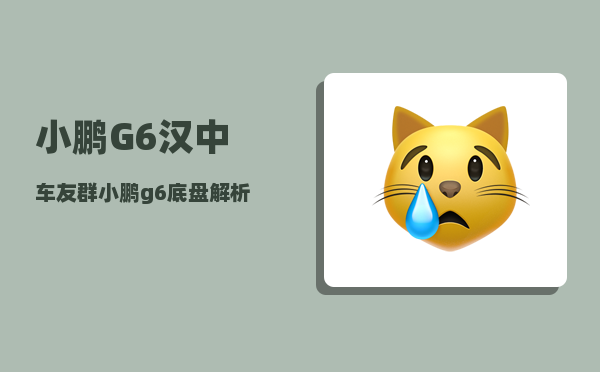 小鹏G6汉中车友群_小鹏g6底盘解析-图1