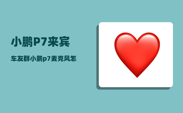小鹏P7来宾车友群_小鹏p7麦克风怎么连接不上-图1