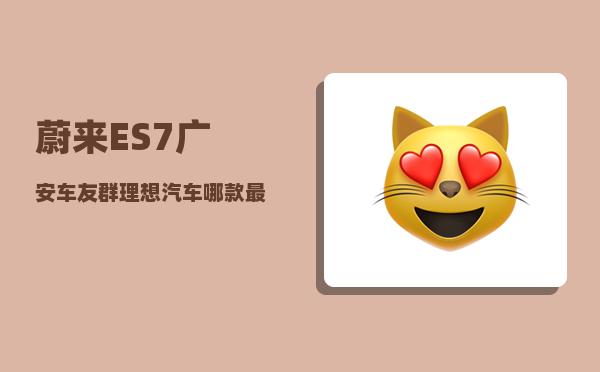 蔚来ES7广安车友群_理想汽车哪款最值得买-图1