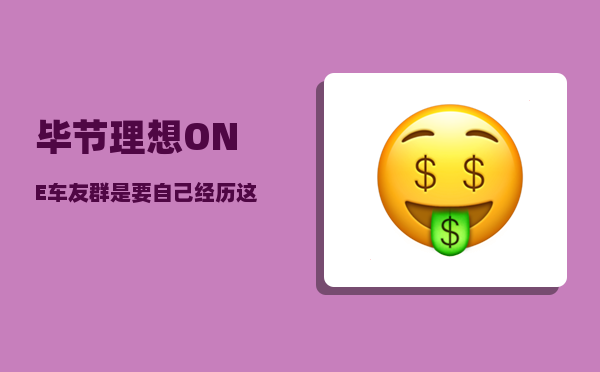 毕节理想ONE车友群_是要自己经历这些抉择-图1