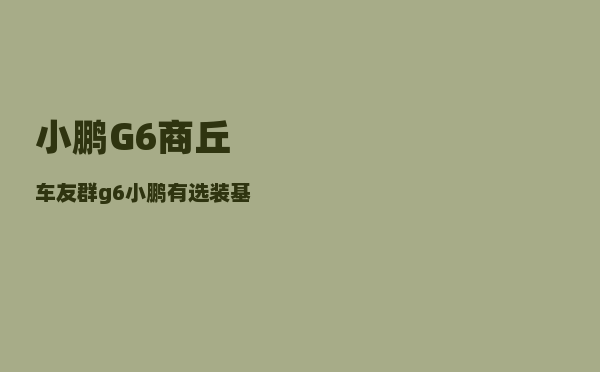 小鹏G6商丘车友群_g6小鹏有选装基金吗-图1