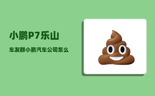 小鹏P7乐山车友群_小鹏汽车公司怎么样-图1