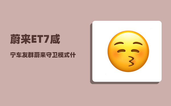 蔚来ET7咸宁车友群_蔚来守卫模式什么时候推出来-图1