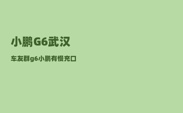 小鹏G6武汉车友群_g6小鹏有慢充口吗-图1