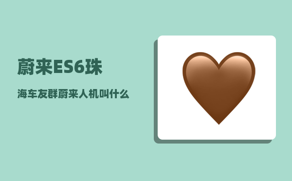 蔚来ES6珠海车友群_蔚来人机叫什么-图1