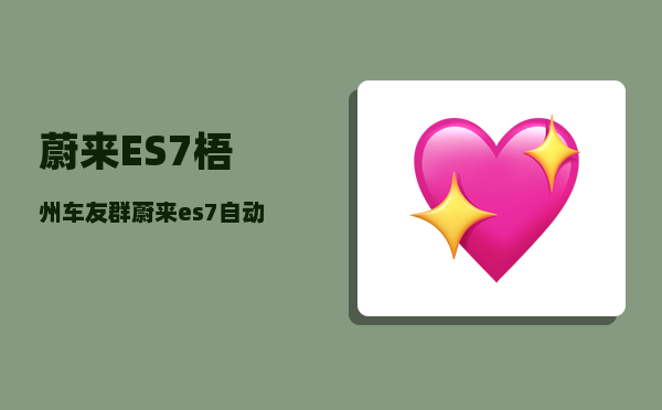 蔚来ES7梧州车友群_蔚来es7自动驾驶会超车吗-图1