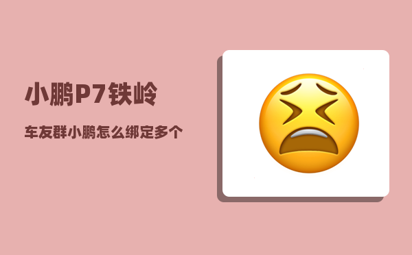 小鹏P7铁岭车友群_小鹏怎么绑定多个车主-图1