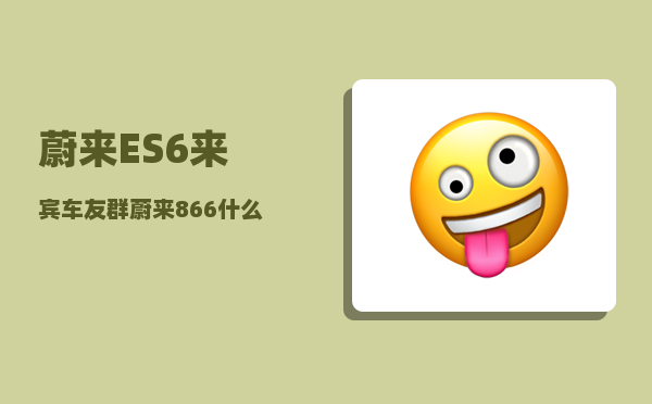蔚来ES6来宾车友群_蔚来866什么意思-图1