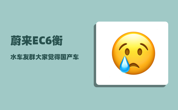 蔚来EC6衡水车友群_大家觉得国产车怎么样-图1