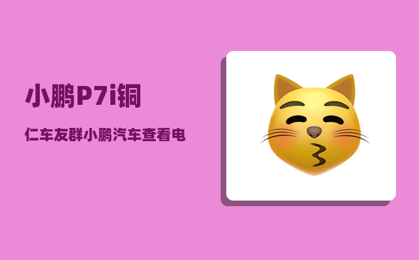小鹏P7i铜仁车友群_小鹏汽车查看电量百分比-图1