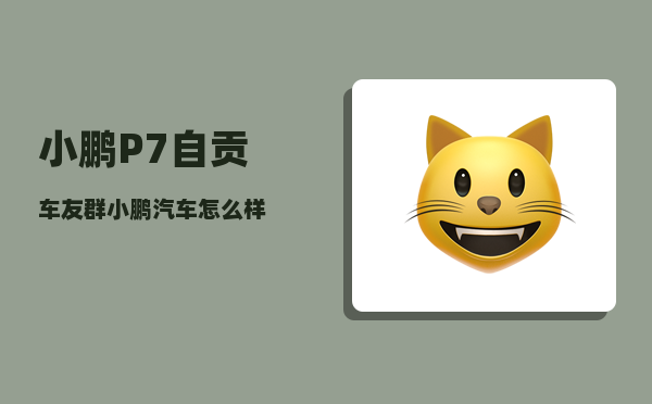 小鹏P7自贡车友群_小鹏汽车怎么样-图1