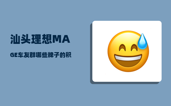 汕头理想MAGE车友群_哪些牌子的积木比较适合9个月孩子玩-图1