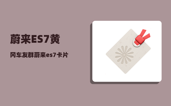 蔚来ES7黄冈车友群_蔚来es7卡片钥匙如何锁车-图1