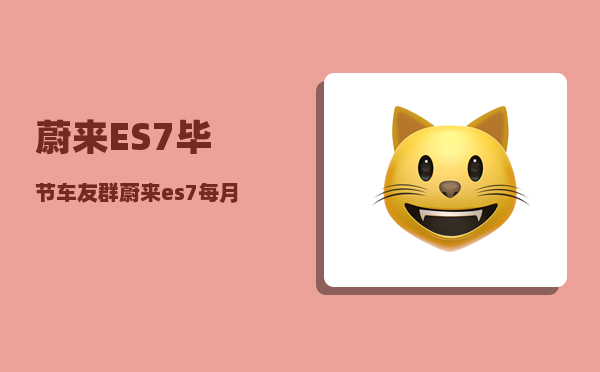 蔚来ES7毕节车友群_蔚来es7每月几次换电-图1