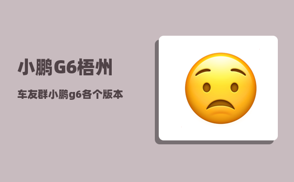 小鹏G6梧州车友群_小鹏g6各个版本配置-图1