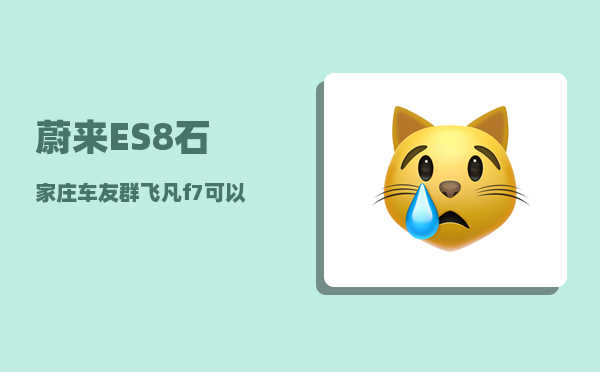 蔚来ES8石家庄车友群_飞凡f7可以在蔚来换电吗-图1