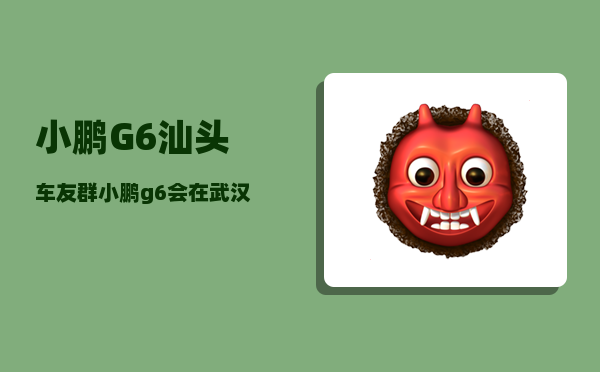 小鹏G6汕头车友群_小鹏g6会在武汉工厂生产吗-图1