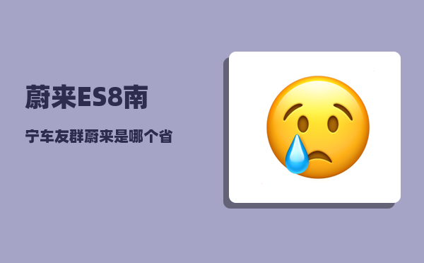 蔚来ES8南宁车友群_蔚来是哪个省-图1