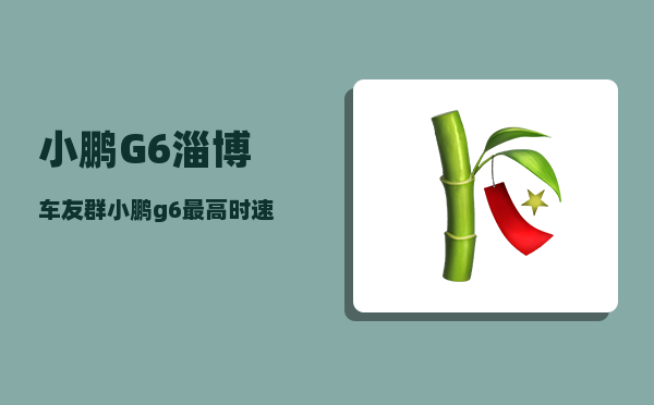 小鹏G6淄博车友群_小鹏g6较高时速-图1