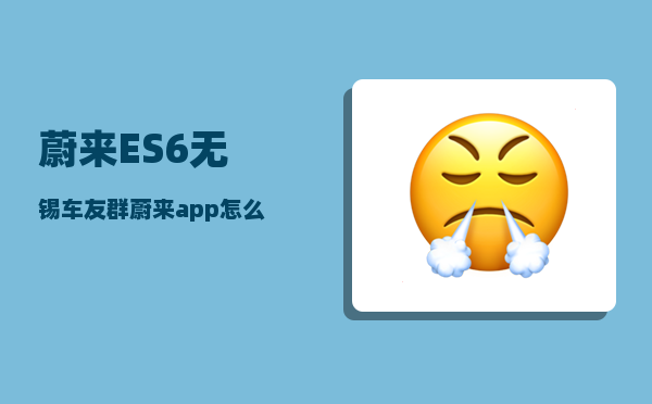 蔚来ES6无锡车友群_蔚来app怎么看总公里数-图1
