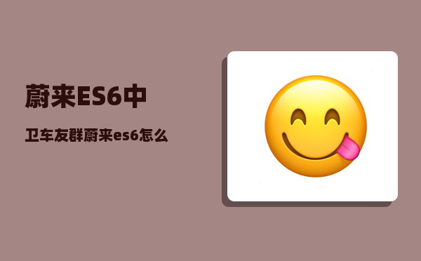 蔚来ES6中卫车友群_蔚来es6怎么开启辅助驾驶-图1