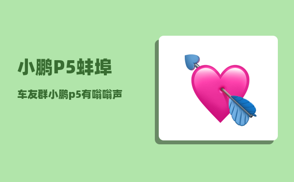 小鹏P5蚌埠车友群_小鹏p5有嗡嗡声-图1
