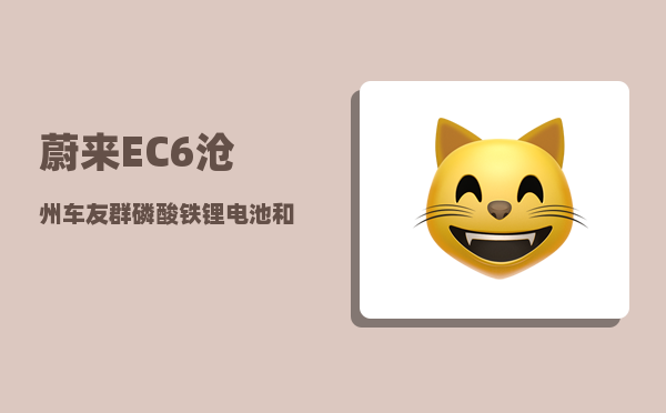 蔚来EC6沧州车友群_磷酸铁锂电池和三元锂电池哪一个好-图1