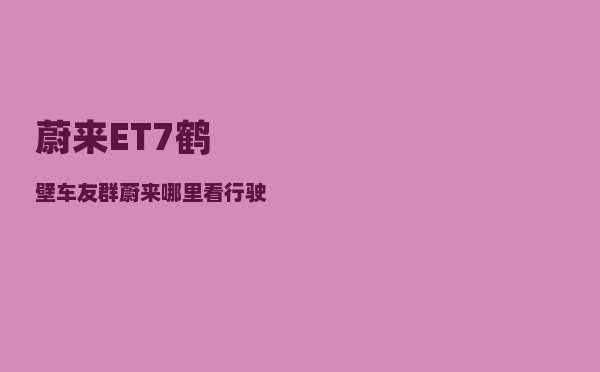 蔚来ET7鹤壁车友群_蔚来哪里看行驶公里数-图1