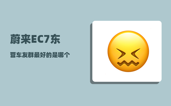 蔚来EC7东营车友群_较优的是哪个-图1
