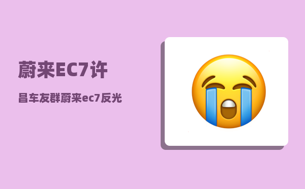 蔚来EC7许昌车友群_蔚来ec7反光镜车衣怎么贴-图1