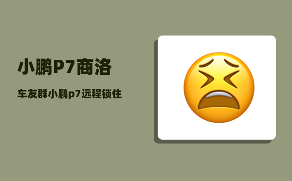 小鹏P7商洛车友群_小鹏p7远程锁住了怎样解开-图1