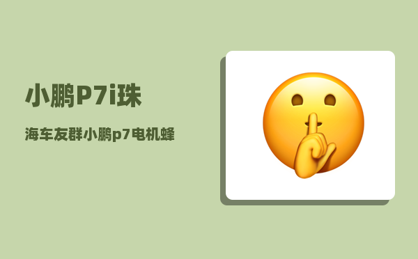 小鹏P7i珠海车友群_小鹏p7电机蜂鸣声太大-图1