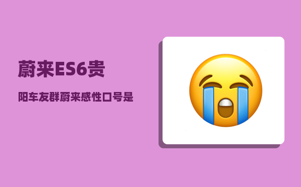 蔚来ES6贵阳车友群_蔚来感性口号是什么-图1