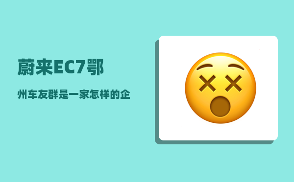 蔚来EC7鄂州车友群_是一家怎样的企业-图1