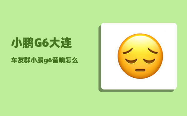 小鹏G6大连车友群_小鹏g6音响怎么调-图1