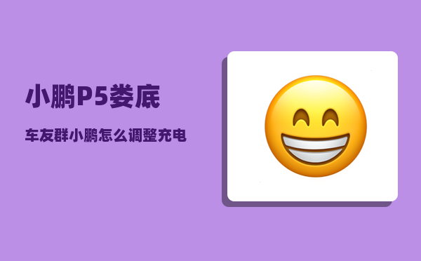 小鹏P5娄底车友群_小鹏怎么调整充电比例-图1