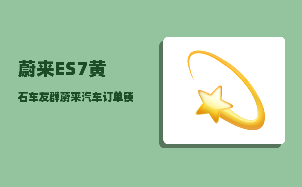 蔚来ES7黄石车友群_蔚来汽车订单锁定是不是要付全款-图1